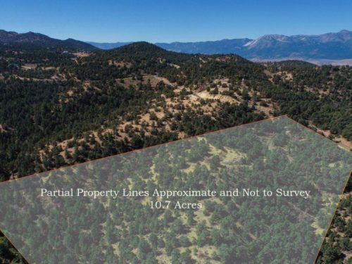 10-web-or-mls-DJI_0012-Edit