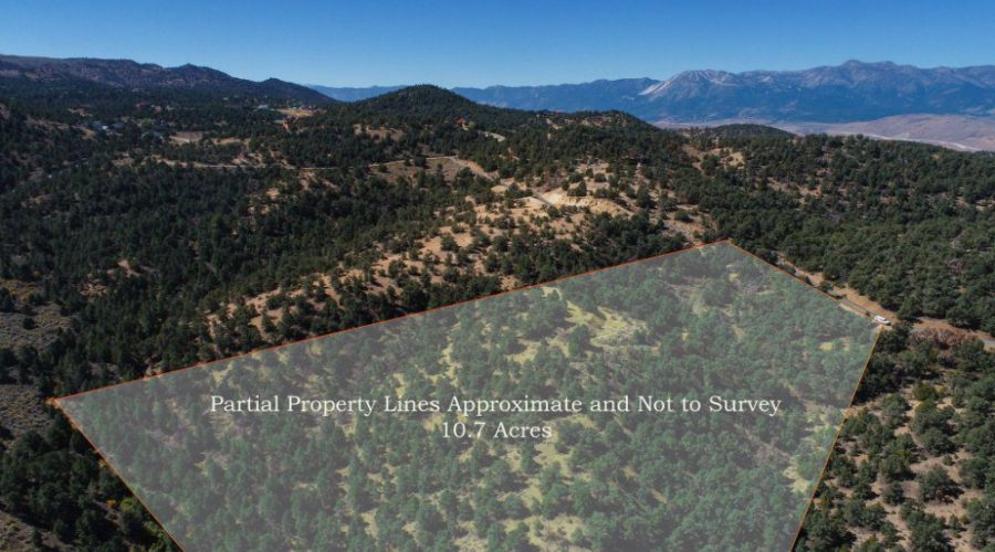 10-web-or-mls-DJI_0012-Edit