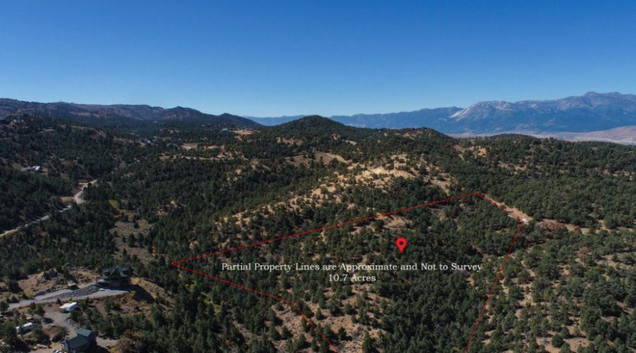 11-web-or-mls-DJI_0013-Edit