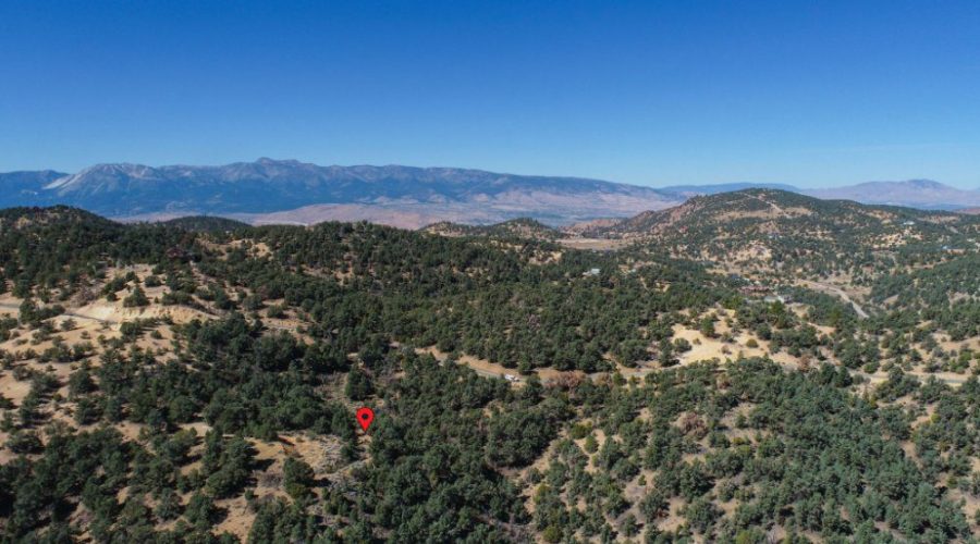 12-web-or-mls-DJI_0014-Edit