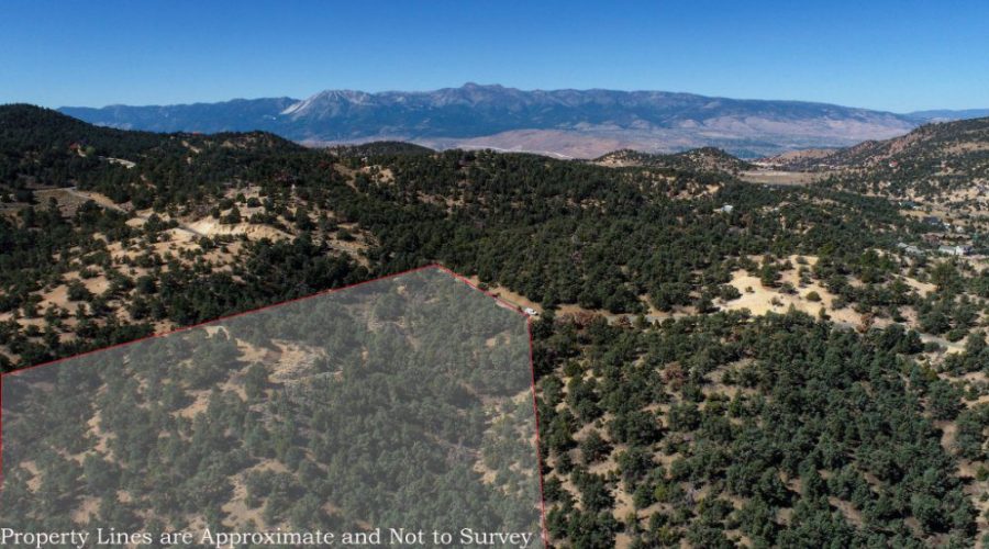 2-web-or-mls-DJI_0002-Edit