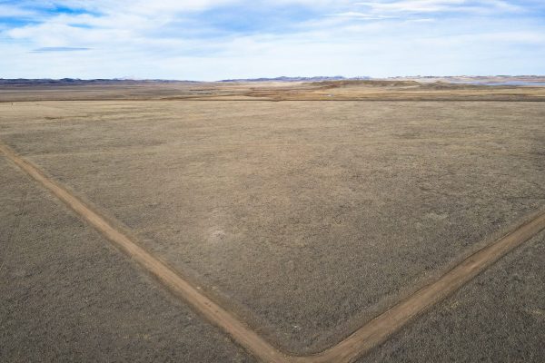 20241122-dji_fly_20241122_135306_724_1732308800137_photo