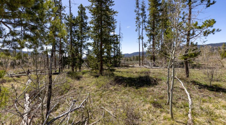 Ground Photo Showing Some Trees on the Lot for for Lot 143 Sky Hitch II At Stagecoach 4