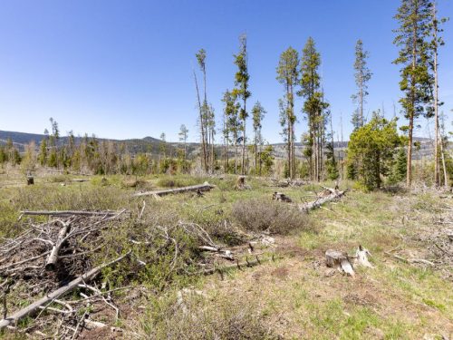 Ground Photo with Mountain Backgrounds for Lot 150 Sky Hitch II At Stagecoach