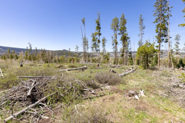 Ground Photo with Mountain Backgrounds for Lot 150 Sky Hitch II At Stagecoach