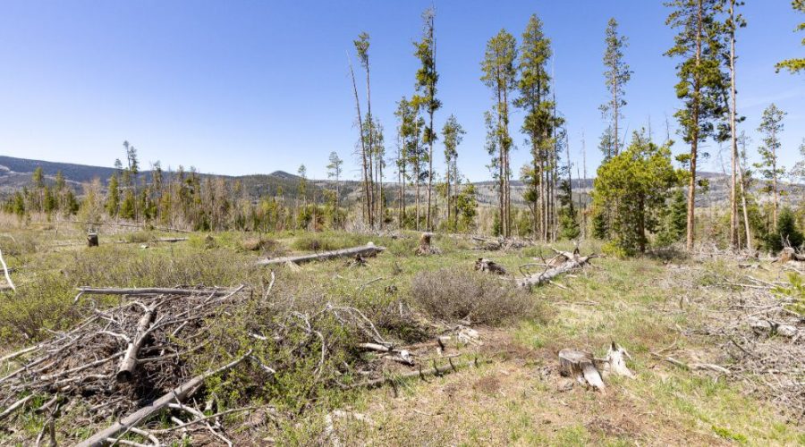 Ground Photo with Mountain Backgrounds for Lot 150 Sky Hitch II At Stagecoach