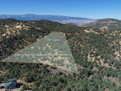 7-web-or-mls-DJI_0027-Edit