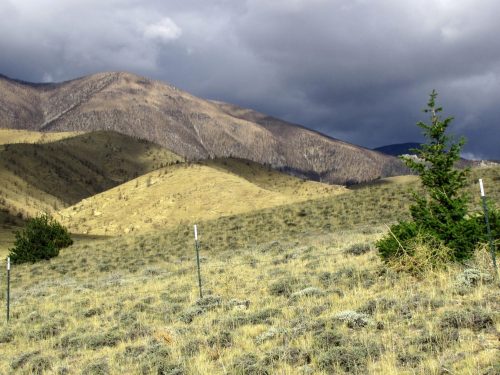 946-19-fence&northwest-view