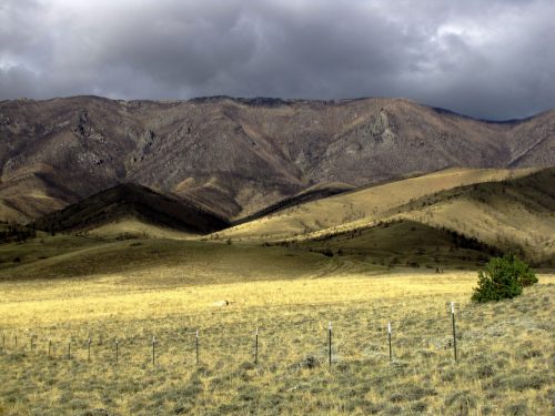 946-19-fence&west-view