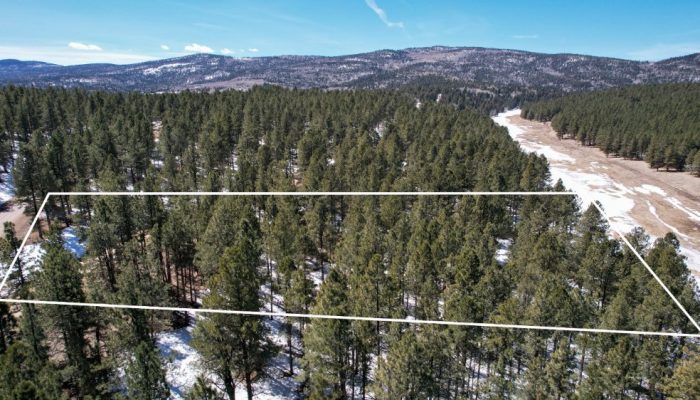 Aerial Map with Overlay for Meadowside Lot Near Angel Fire Ski