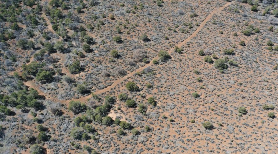 Aerial Photo Showing Dirt Road for Public Hunting Unlimited 40 Ac