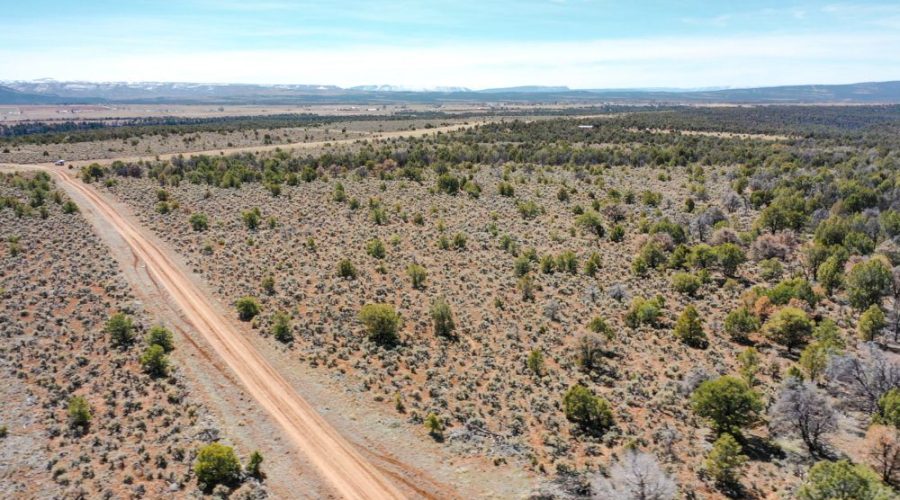 Aerial Photo Showing Road Access for Public Hunting Unlimited 40 Ac