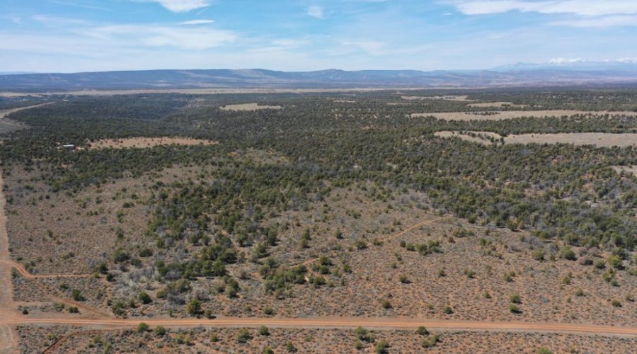 Aerial Photo Showing the Whole Property for Public Hunting Unlimited 40 Ac
