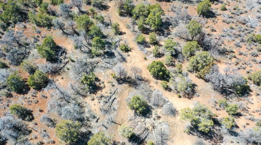 Aerial Photo of the Lot for Public Hunting Unlimited 40 Ac