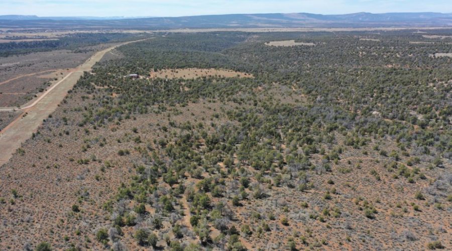 Aerial Photos Showing Vegetation for Public Hunting Unlimited 40 Ac