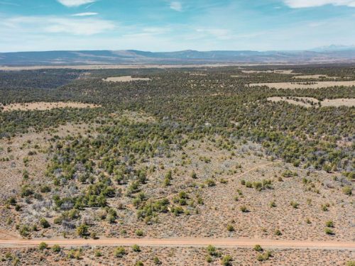 Aerial View Photo Showing Road Access for Public Hunting Unlimited 40 Ac