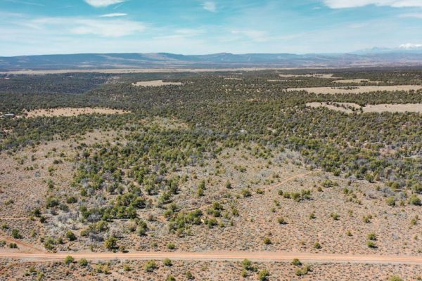 Aerial View Photo Showing Road Access for Public Hunting Unlimited 40 Ac