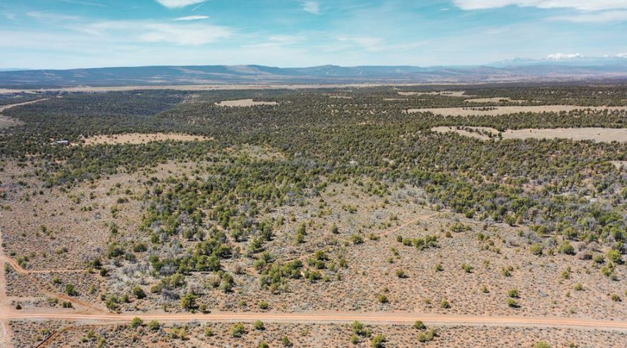 Aerial View Photo Showing Road Access for Public Hunting Unlimited 40 Ac