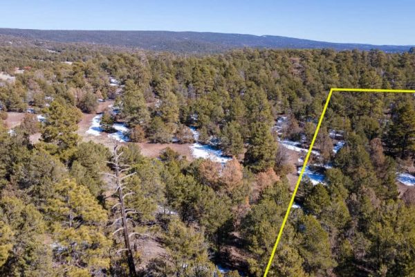 Aerial Photo with Overlay for PEACEFUL LIVING AMONG THE NM PINES 2