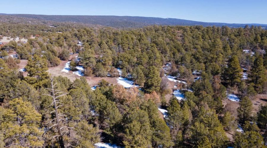 Aerial Photo with Mountain Background for PEACEFUL LIVING AMONG THE NM PINES