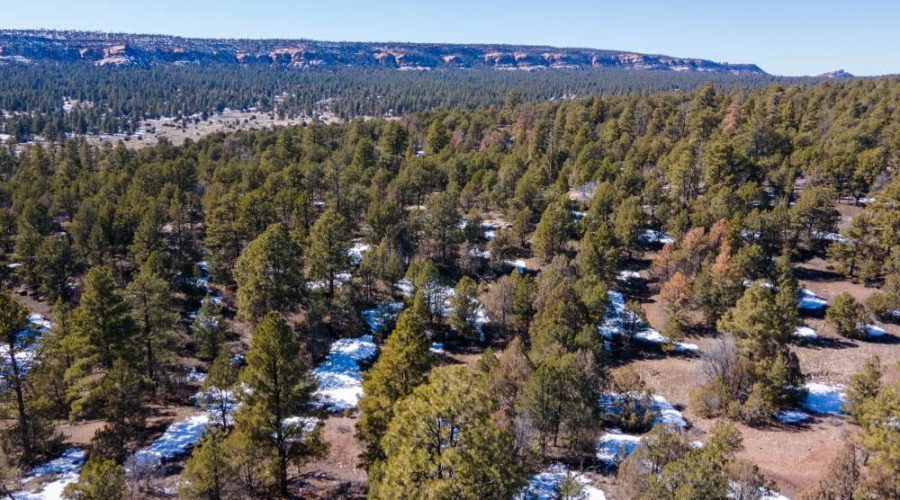 Aerial Photo with Mountain Background for PEACEFUL LIVING AMONG THE NM PINES 2
