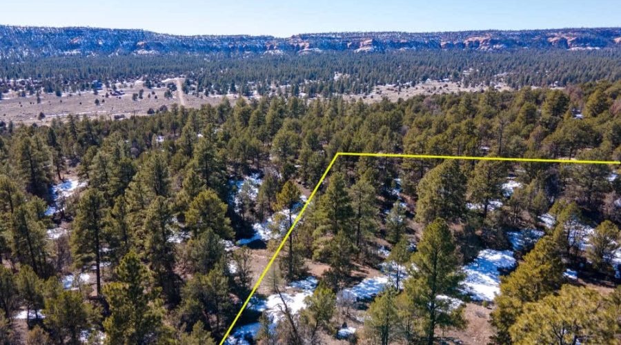 Aerial Photo with Overlay for PEACEFUL LIVING AMONG THE NM PINES 3