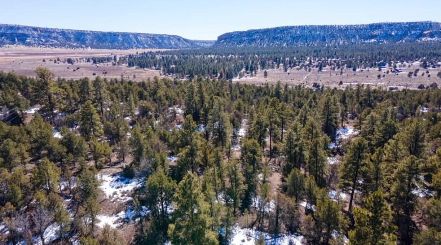 Aerial Photo with Mountain Background for PEACEFUL LIVING AMONG THE NM PINES 3