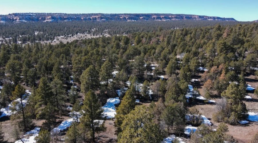 Aerial Photo with Mountain Background for PEACEFUL LIVING AMONG THE NM PINES 4