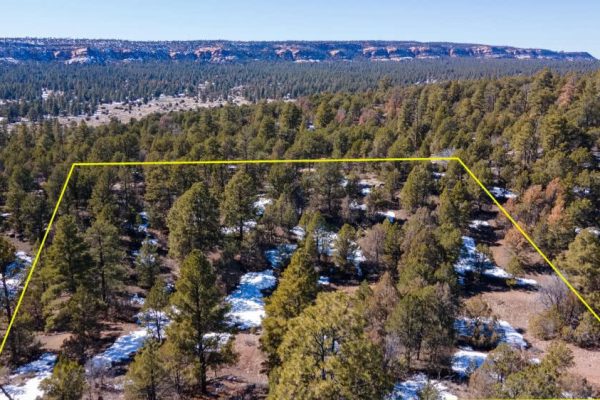 Main Photo with Overlay for PEACEFUL LIVING AMONG THE NM PINES