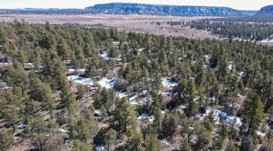 Aerial Photo Showing Power Posts and with Mountain Background for PEACEFUL LIVING AMONG THE NM PINES