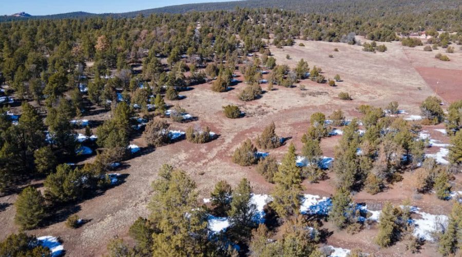 Aerial Photo Showing Vegetations on the Lot for PEACEFUL LIVING AMONG THE NM PINES