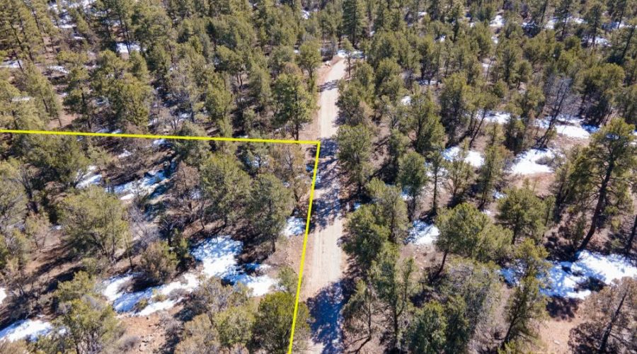 Aerial Photo with Overlay for PEACEFUL LIVING AMONG THE NM PINES