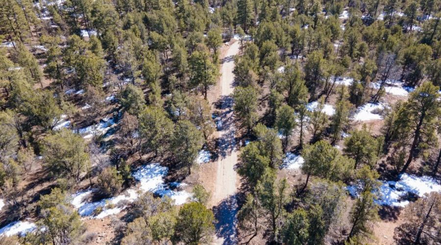 Aerial Photo Showing the Dirt Road Access for PEACEFUL LIVING AMONG THE NM PINES
