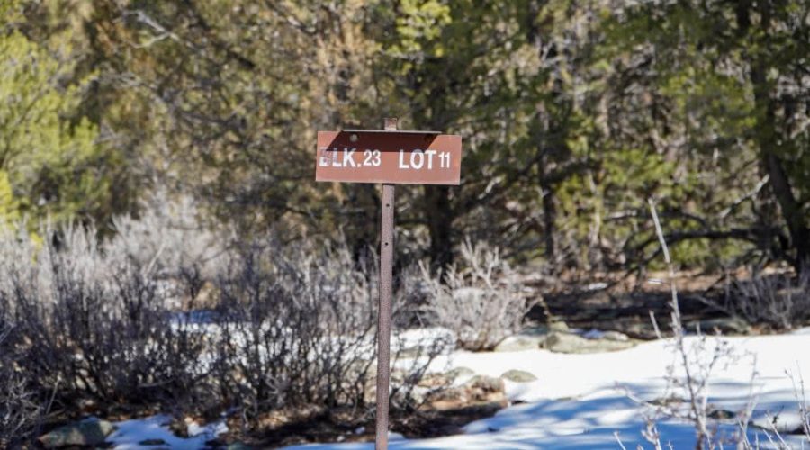 Ground Photo Showing the Lot Signage for PEACEFUL LIVING AMONG THE NM PINES