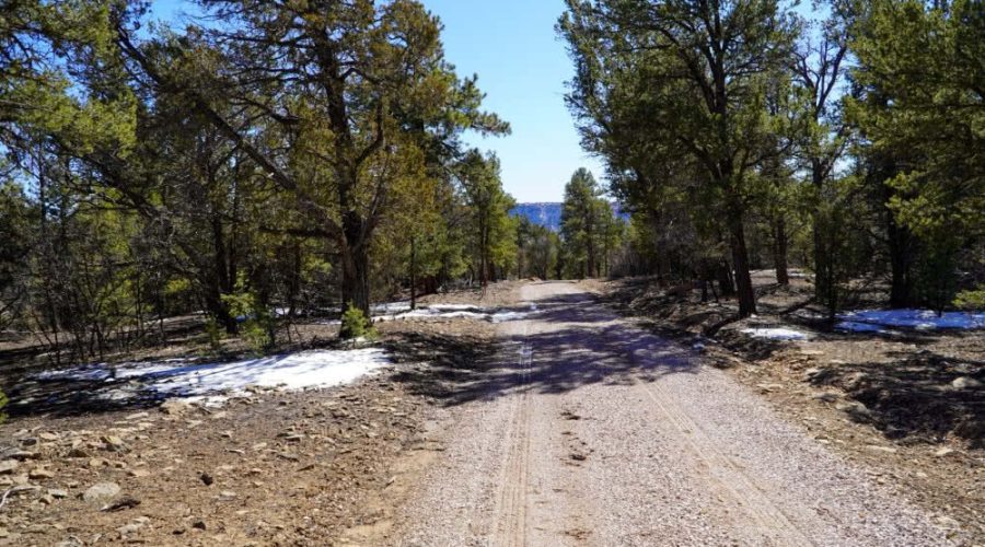 Ground Photo Showing Road Access for PEACEFUL LIVING AMONG THE NM PINES 2