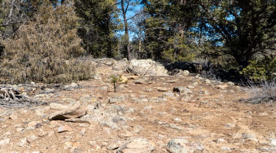 Different Types of Small Rocks on the Lot for PEACEFUL LIVING AMONG THE NM PINES