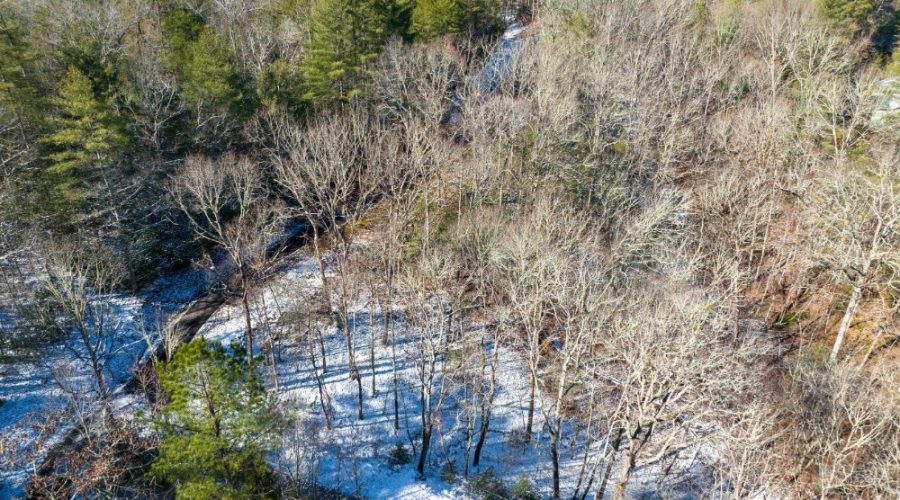 Aerial View Showing Varity of Trees and Road Access Scenic Homesite By Hiwassee River 2