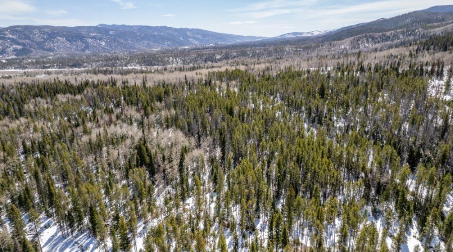 Aerial Photo with Mountain Background for Lot 50 Prime Stagecoach Cabin Lot