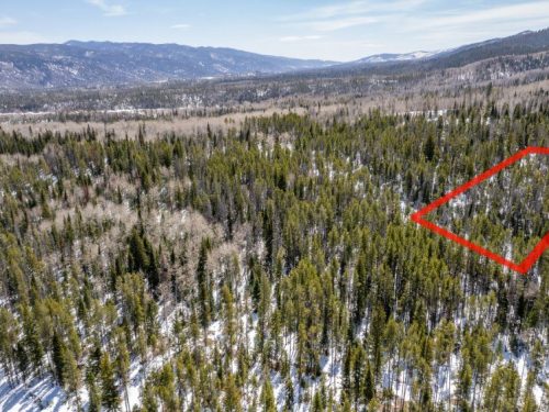 Aerial Photo with Property Line for Lot 50 Prime Stagecoach Cabin Lot