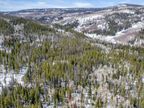 Aerial Photo with Mountains for Lot 50 Prime Stagecoach Cabin Lot