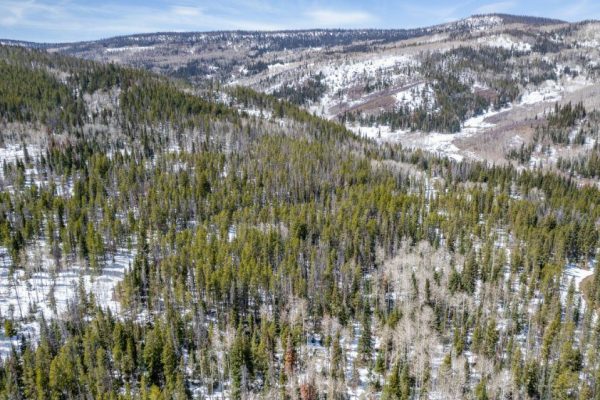 Aerial Photo with Mountains for Lot 50 Prime Stagecoach Cabin Lot