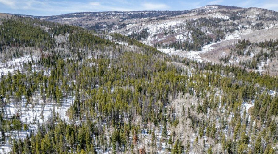 Aerial Photo with Mountains for Lot 50 Prime Stagecoach Cabin Lot