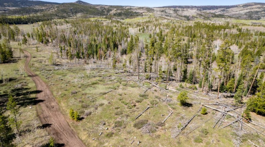 Aerial Photo Showing the Dirt Road with Mountains on the Background for Lot 150 Sky Hitch II At Stagecoach