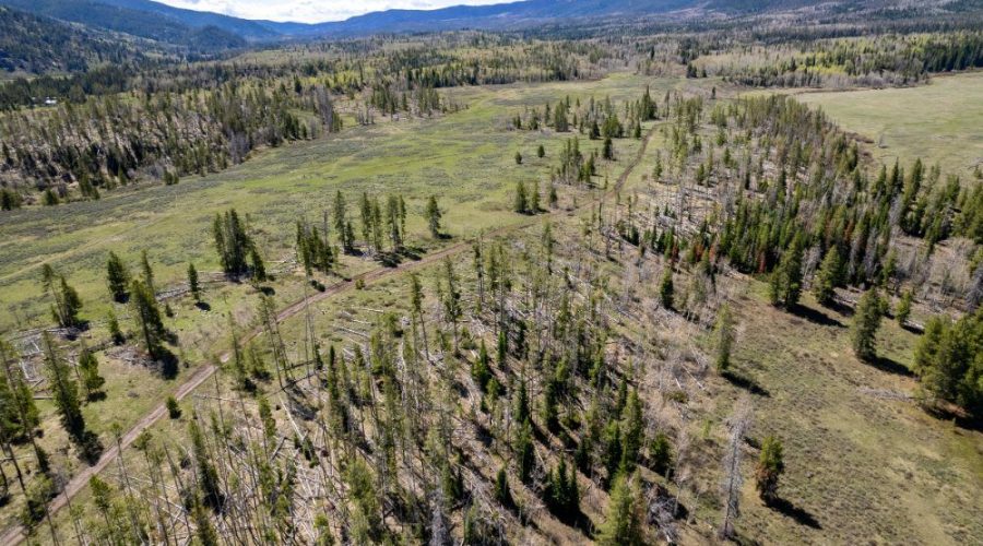 Aerial Photo with Mountain Background for Lot 143 Sky Hitch II At Stagecoach 3