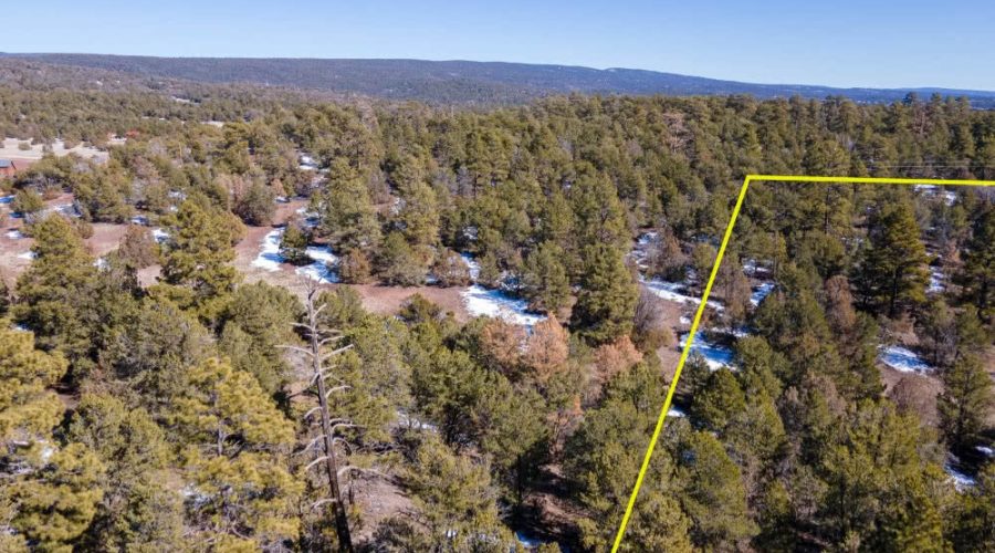 Aerial Photo with Overlay for PEACEFUL LIVING AMONG THE NM PINES 6