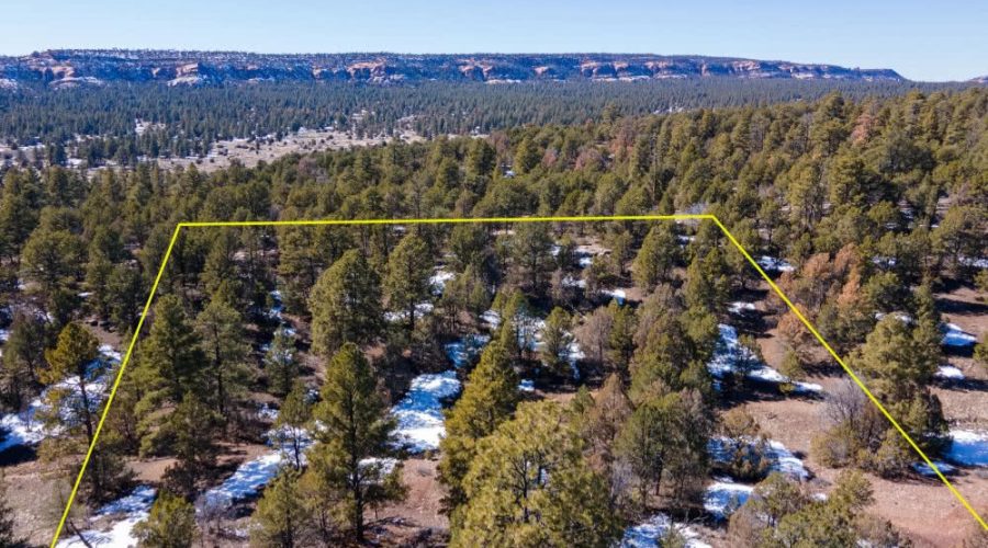 Aerial Photo with Overlay for PEACEFUL LIVING AMONG THE NM PINES 4