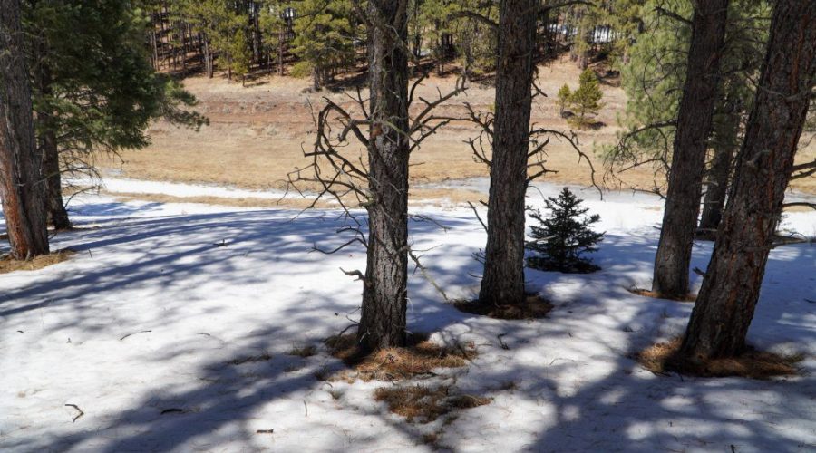 Downhill Ground Photo for Meadowside Lot Near Angel Fire Ski