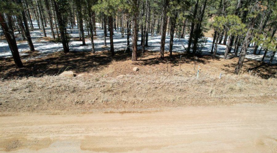 Downhill Photo from the Road for Meadowside Lot Near Angel Fire Ski