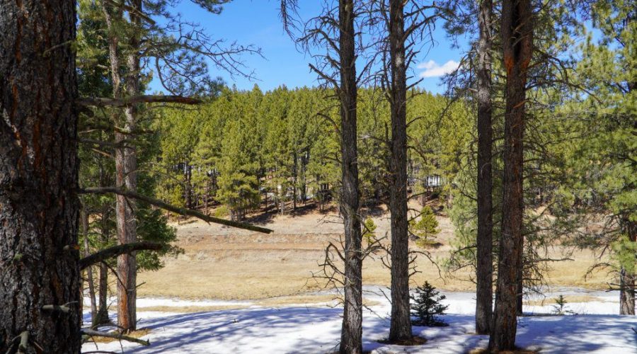 Downhill Photo of Meadowside Lot Near Angel Fire Ski 3