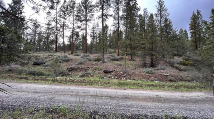 Main Photo Showing Graveled Road Fronting the Property for Lot 22 Forest Estates Hwy 6